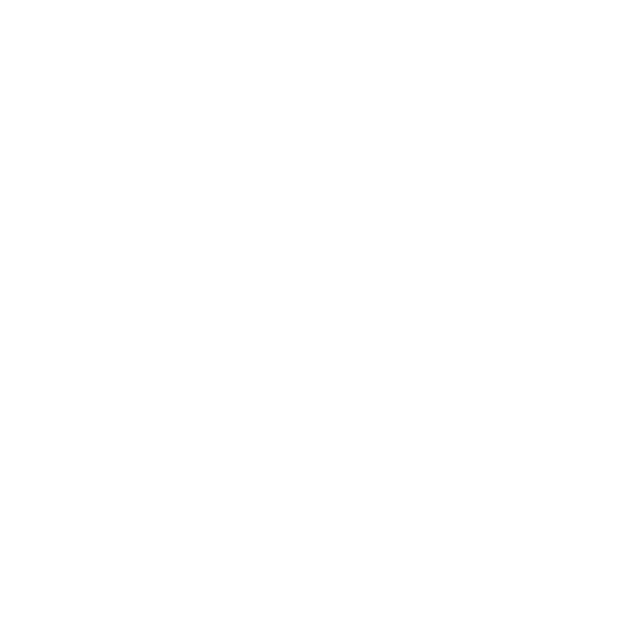 Alex Nannies logo